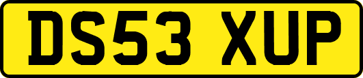 DS53XUP