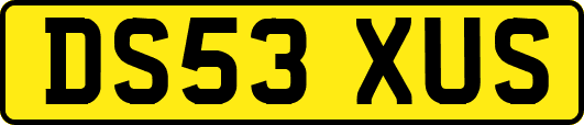 DS53XUS