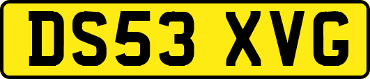 DS53XVG