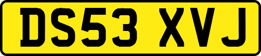 DS53XVJ