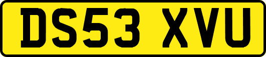 DS53XVU