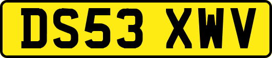 DS53XWV