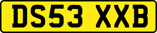 DS53XXB
