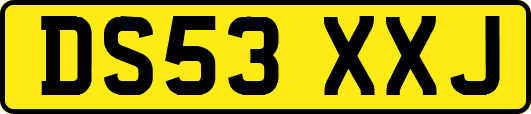 DS53XXJ