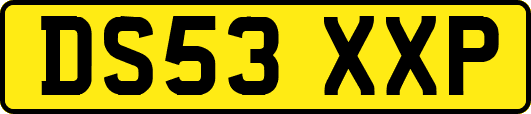 DS53XXP