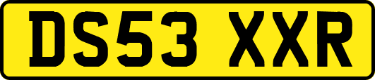 DS53XXR