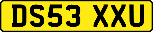 DS53XXU