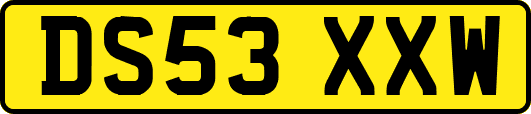 DS53XXW