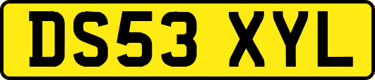 DS53XYL