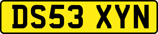 DS53XYN