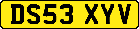DS53XYV