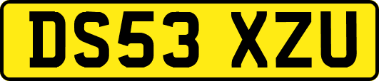 DS53XZU