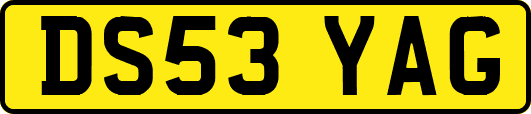 DS53YAG