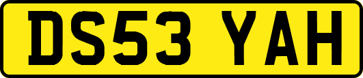 DS53YAH