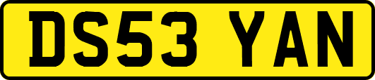 DS53YAN