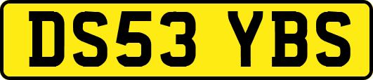DS53YBS