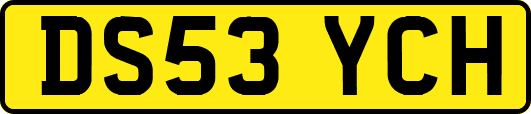 DS53YCH