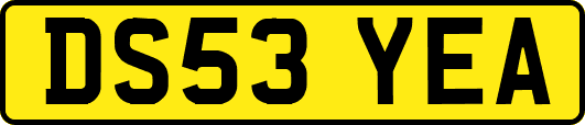 DS53YEA