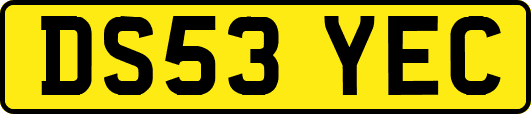 DS53YEC