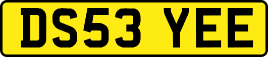 DS53YEE