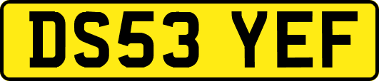DS53YEF