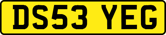 DS53YEG