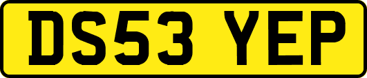 DS53YEP