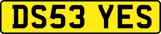 DS53YES