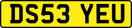 DS53YEU