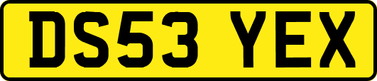 DS53YEX