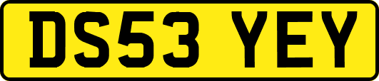 DS53YEY