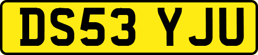 DS53YJU