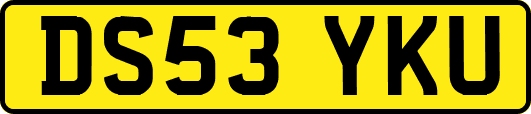 DS53YKU