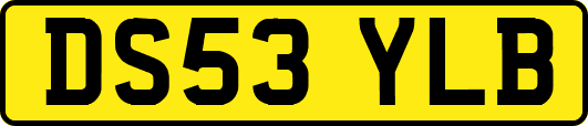 DS53YLB