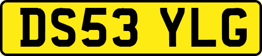 DS53YLG
