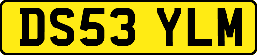 DS53YLM