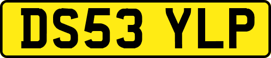 DS53YLP