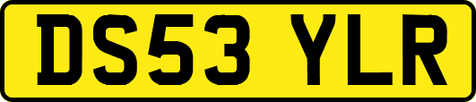 DS53YLR
