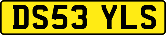 DS53YLS