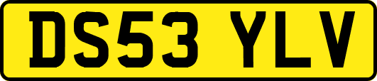 DS53YLV