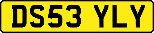 DS53YLY