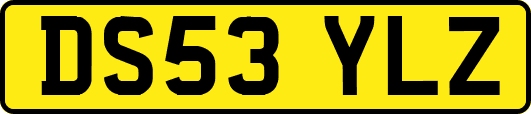 DS53YLZ