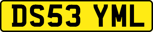 DS53YML