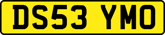 DS53YMO