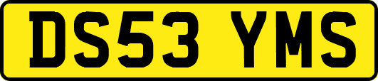 DS53YMS