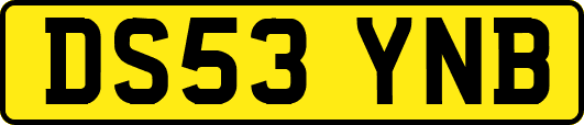 DS53YNB