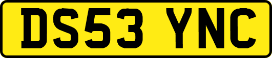 DS53YNC