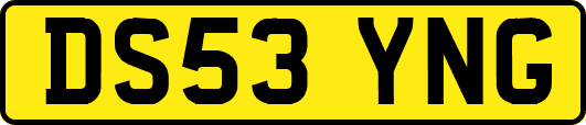 DS53YNG