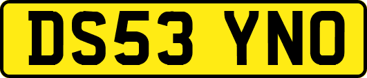 DS53YNO