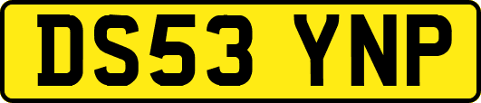 DS53YNP